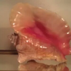 Meet your Posher, Daryl